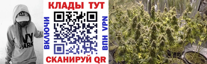 Наркота Светлоград Кокаин  A-PVP  Гашиш  Конопля  Метадон  МЕФ 