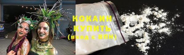 ПСИЛОЦИБИНОВЫЕ ГРИБЫ Арсеньев