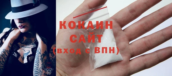 ПСИЛОЦИБИНОВЫЕ ГРИБЫ Арсеньев