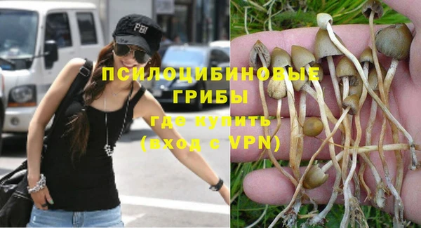 ПСИЛОЦИБИНОВЫЕ ГРИБЫ Арсеньев