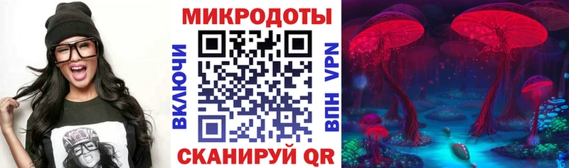 Галлюциногенные грибы Magic Shrooms  OMG зеркало  Светлоград  цена  