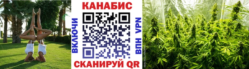 Бошки Шишки семена  mega ONION  Светлоград 